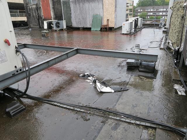 Flat roof with fungal growth and ponding water from a flat roof survey