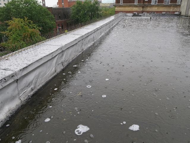 Flat roof with fungal growth and ponding water from a flat roof survey