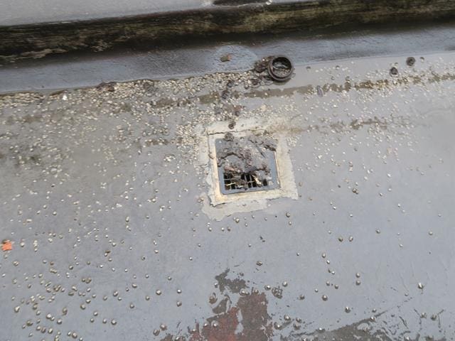 Flat roof with fungal growth and ponding water from a flat roof survey