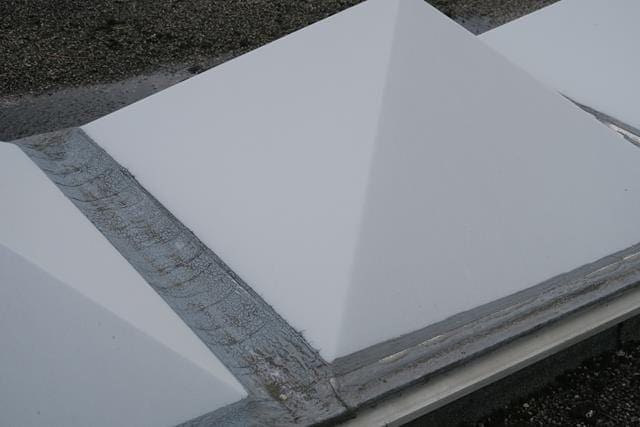 Flat roof with fungal growth and ponding water from a flat roof survey