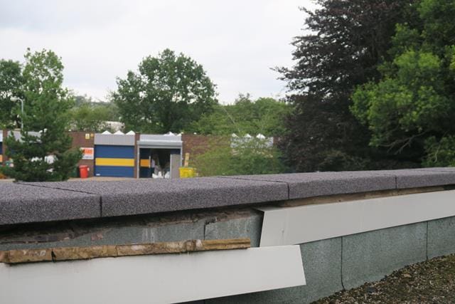 Flat roof with fungal growth and ponding water from a flat roof survey