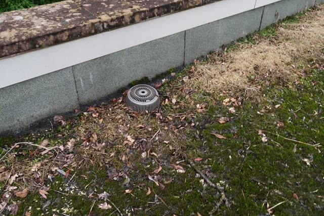 Flat roof with fungal growth and ponding water from a flat roof survey