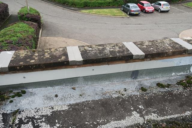 Flat roof with fungal growth and ponding water from a flat roof survey