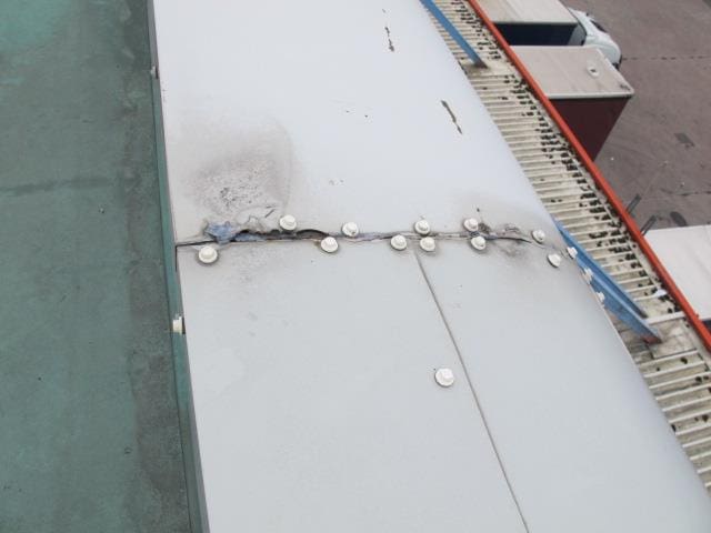 Flat roof with fungal growth and ponding water from a flat roof survey