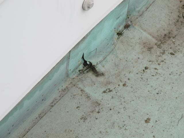 Flat roof with fungal growth and ponding water from a flat roof survey